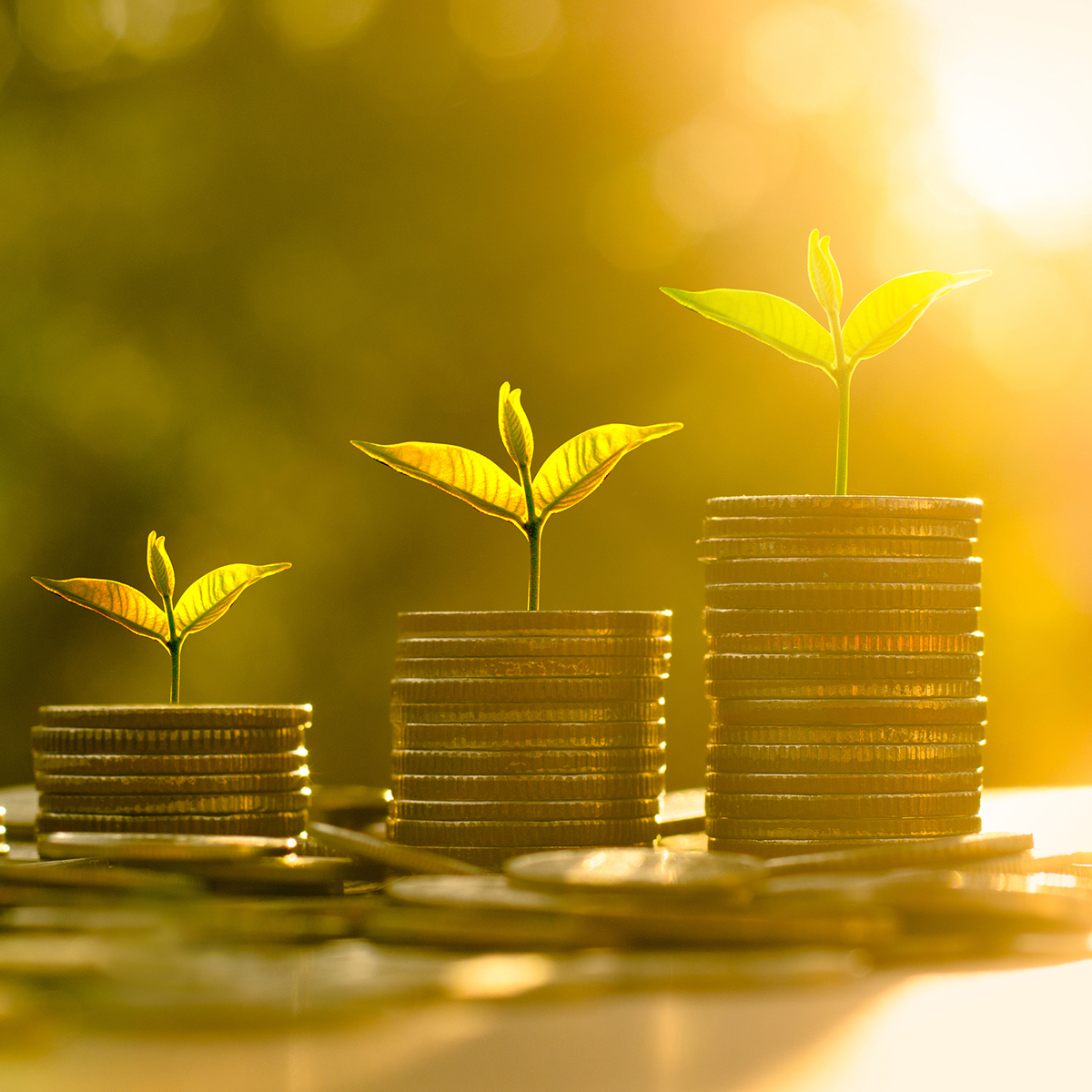 Business-Ownership-one-of-the-best-ways-to-Build-Equity Business-Ownership-one-of-the-best-ways-to-Build-Equity