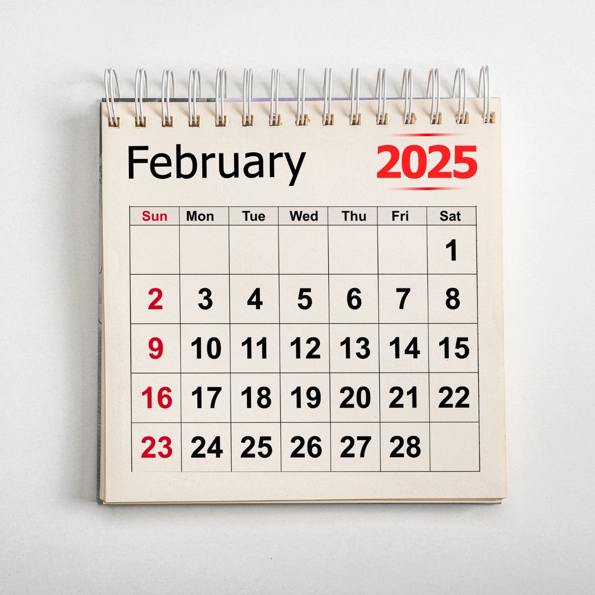 February 2025