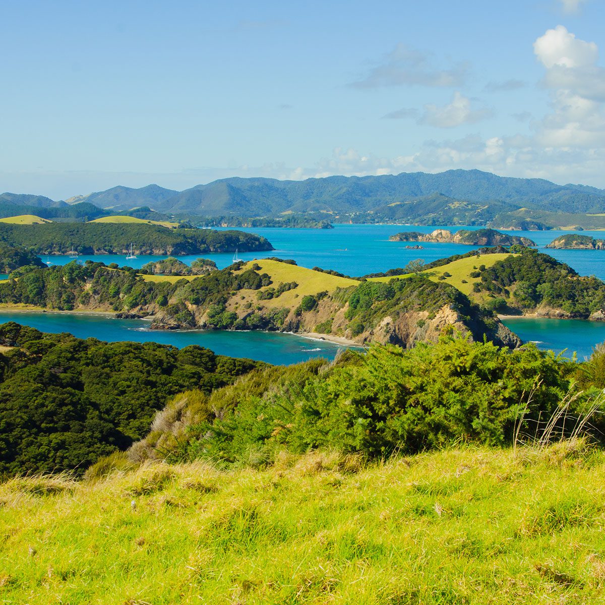 Why-you-Should-Consider-Moving-to-Northland-New-Zealand Why-you-Should-Consider-Moving-to-Northland-New-Zealand