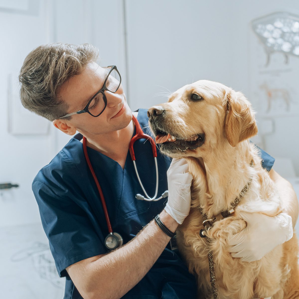 vet-practice