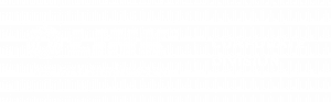 Link Corporate logo WHITE
